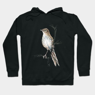 Mr Matata, New Zealand Fernbird Hoodie